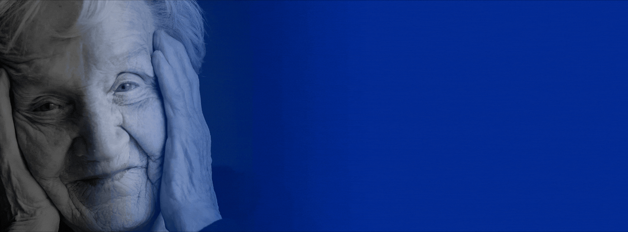 Adobe Express - banner-s-2-opt